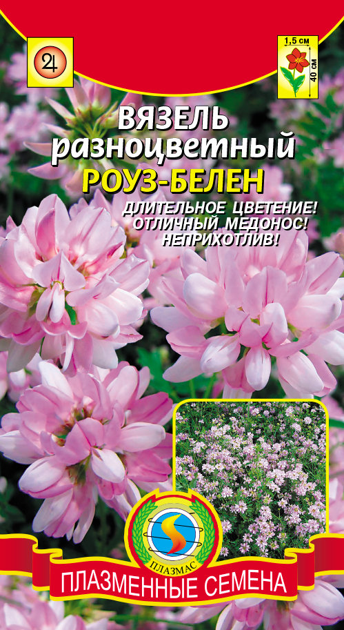 Семена Многолетних Цветов Купить В Интернет Магазине