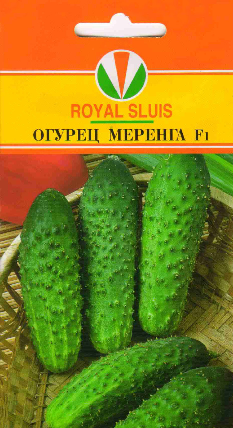 Куплю семена меренги Куплю семена меренги