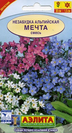 Цветы незабудка альпийская Цветы незабудка альпийская