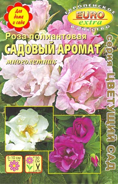 Роза Садовый аромат полиантовая
