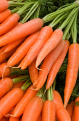 Морковь Берликум Роял (драже)