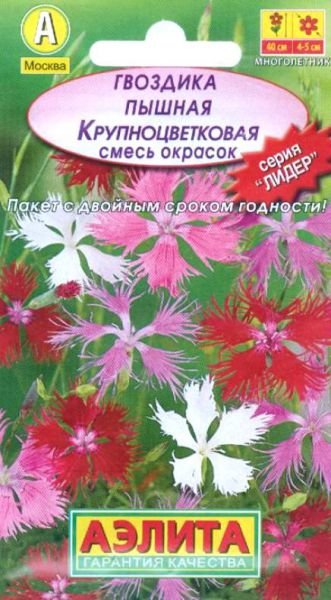 Гвоздика пышная Крупноцветковая, смесь окрасок