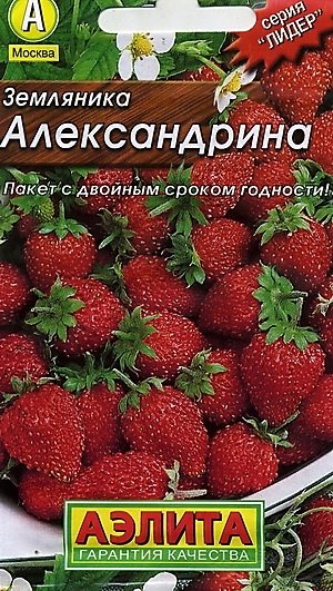 Магазин Семян Клубники В Москве