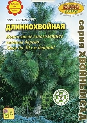 Сосна роксбурга Длиннохвойная