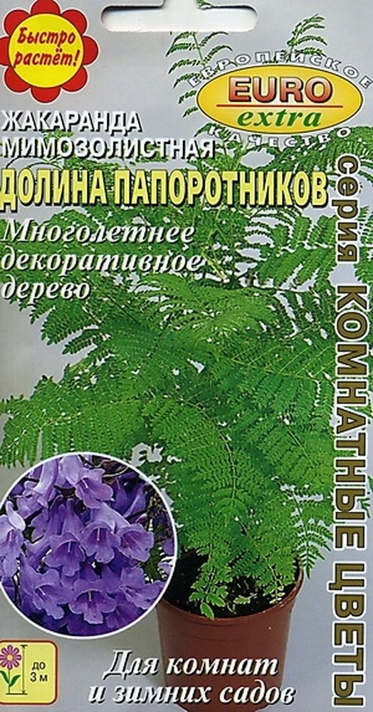 Семена Комнатных Растений Купить Новосибирск