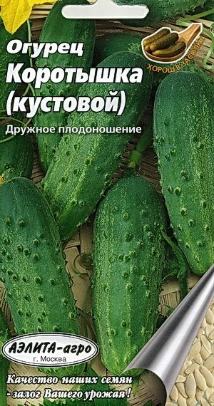 Огурцы сорт кустовые фото. Семена огурец Марьина роща f1. Огурец престольный f1. Манул огурец Марьина роща f1. Семена огурец коротышка.