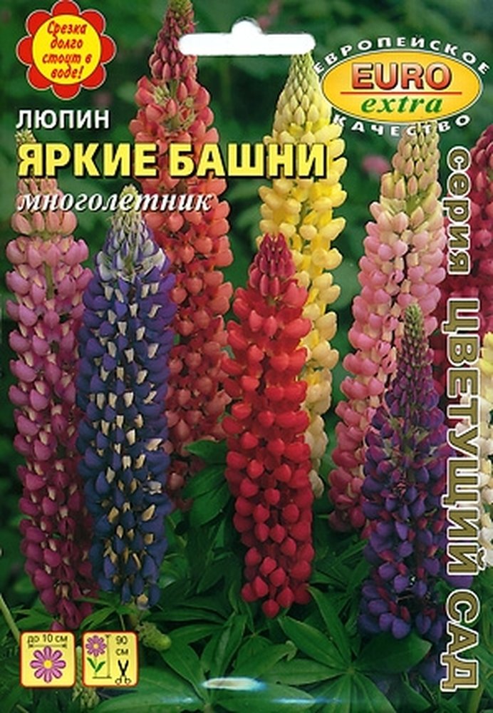 Люпин Семена Купить Цена