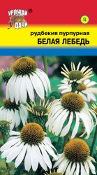 Рудбекия Белая Лебедь
