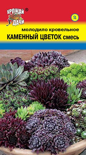 Купить Семена Каменный Цветок Томаты В Спб