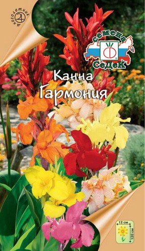 Канна Семена Купить В Интернет