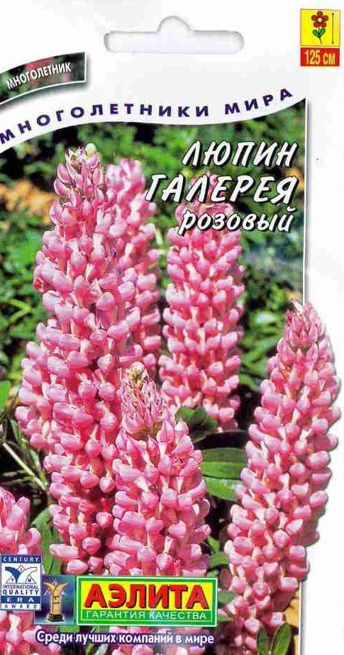 Люпин Семена Купить Цена