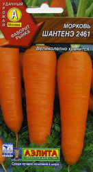 Морковь Шантенэ 2461, 08.22 г.