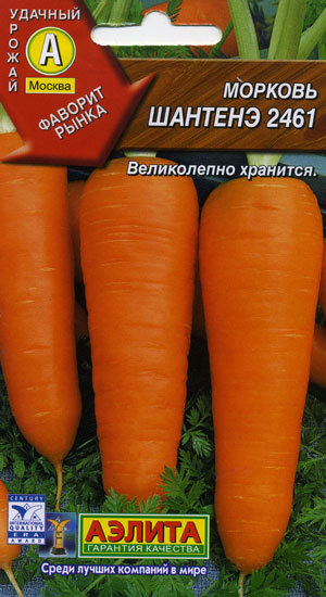 Морковь Шантенэ 2461, 08.22 г.