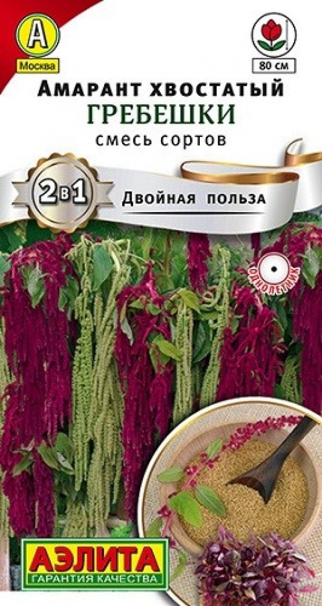Амарант Растения Семенами Купить Семена
