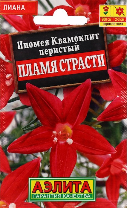 Ипомея Квамоклит Пламя страсти купить в Москве в интернет-магазине ...