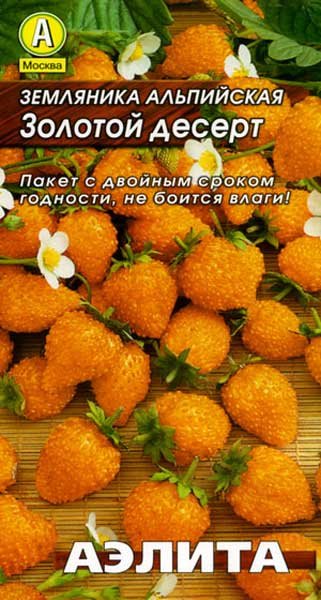 Земляника Золотой десерт ремонтантная