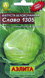 Капуста Слава 1305 б/к