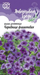 Флокс Чаровница фиолетовая