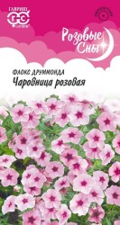 Флокс Чаровница розовая