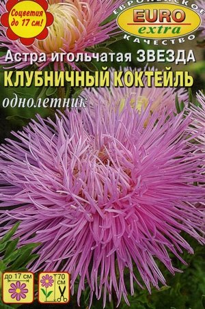 Астра игольчатая Звезда Клубничный коктейль