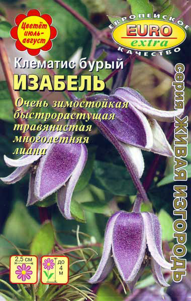 Семена Клематиса Купить Интернет Магазин Почтой