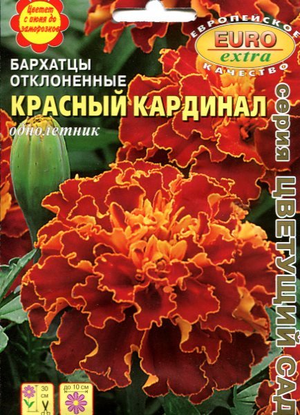 Бархатцы Красный кардинал