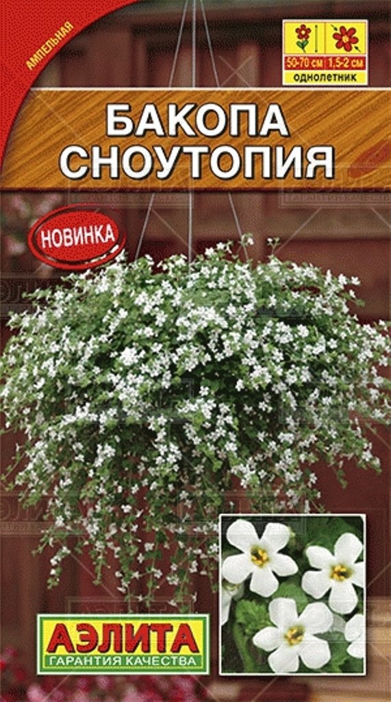 Бакопа Белая вершина