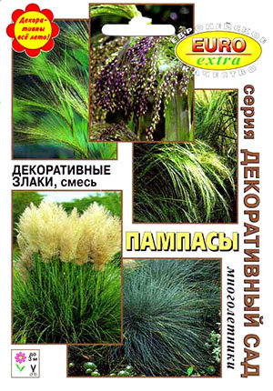 Пампасная Трава Купить Семена