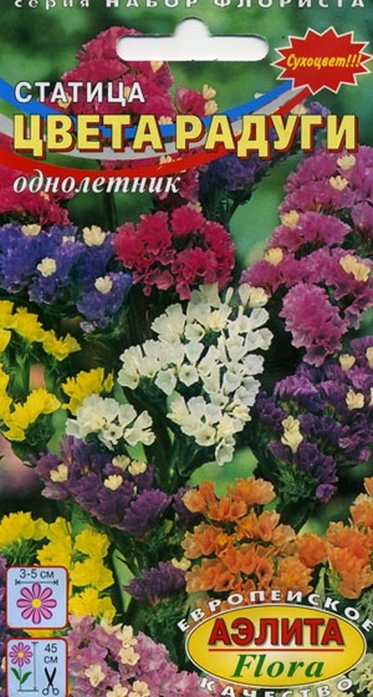 Купить Семена Лимониума Многолетнего