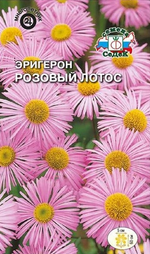 Семена Седек Купить В Спб