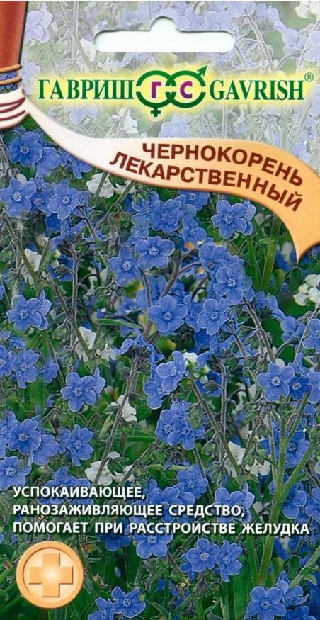 Купить Семена Чернокорня В Пензе