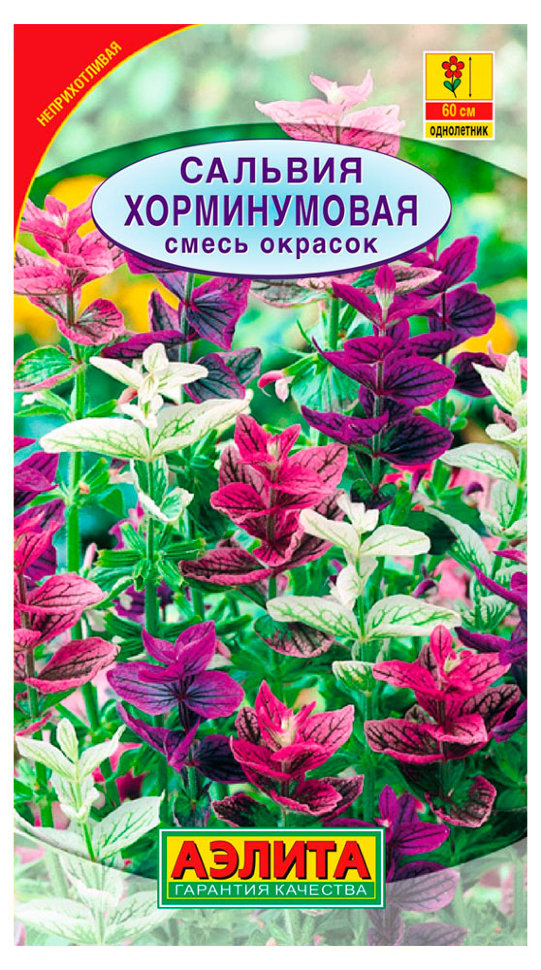 Сальвия Хорминумовая, смесь купить в Москве в интернет-магазине Семена  цветов
