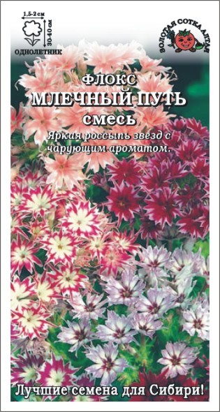 Флокс Звездный Дождь, смесь