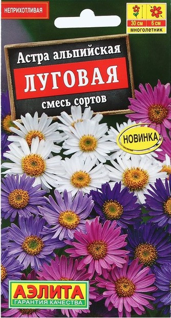 Астра Альпийская Луговая, смесь купить в Москве в интернет-магазине ...
