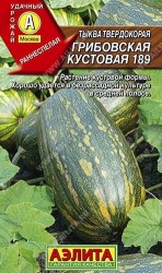 Тыква Грибовская кустовая твердокорая 189