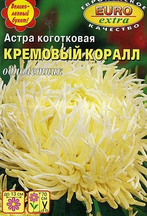 Астра коготковая Кремовый Коралл