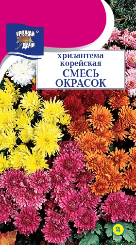 Хризантема Корейская, смесь окрасок купить в Москве в интернет-магазине ...