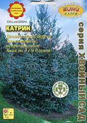 Ель майера Катрин