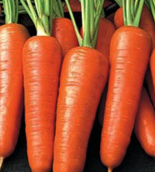 Морковь Оранжевый пунш