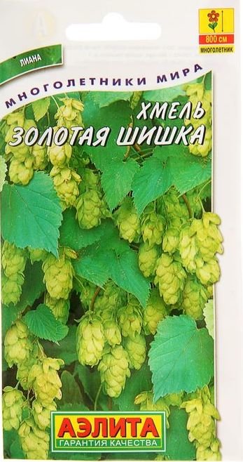 Семена Хмеля Купить В Интернет Магазине Многолетник