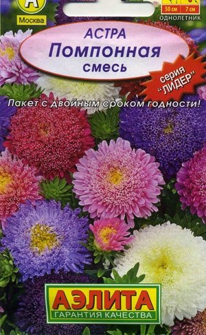 Астра Помпонная, смесь