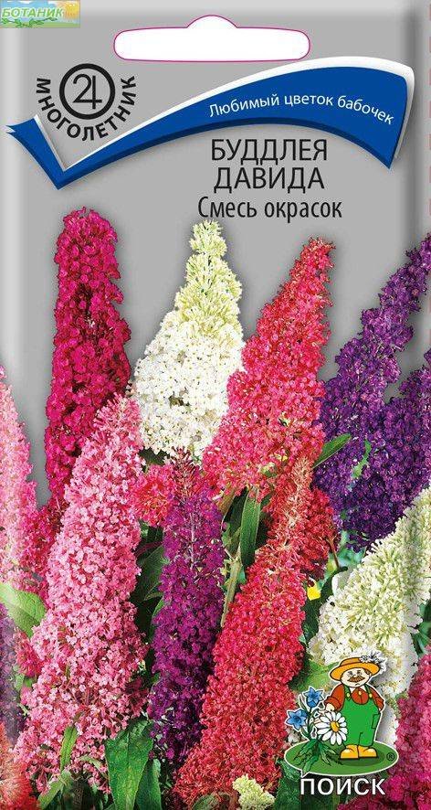 Буддлея Давида смесь купить в Москве в интернет-магазине Семена цветов