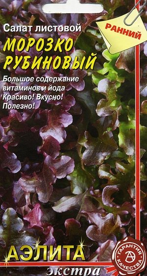 Салат Морозко рубиновый листовой