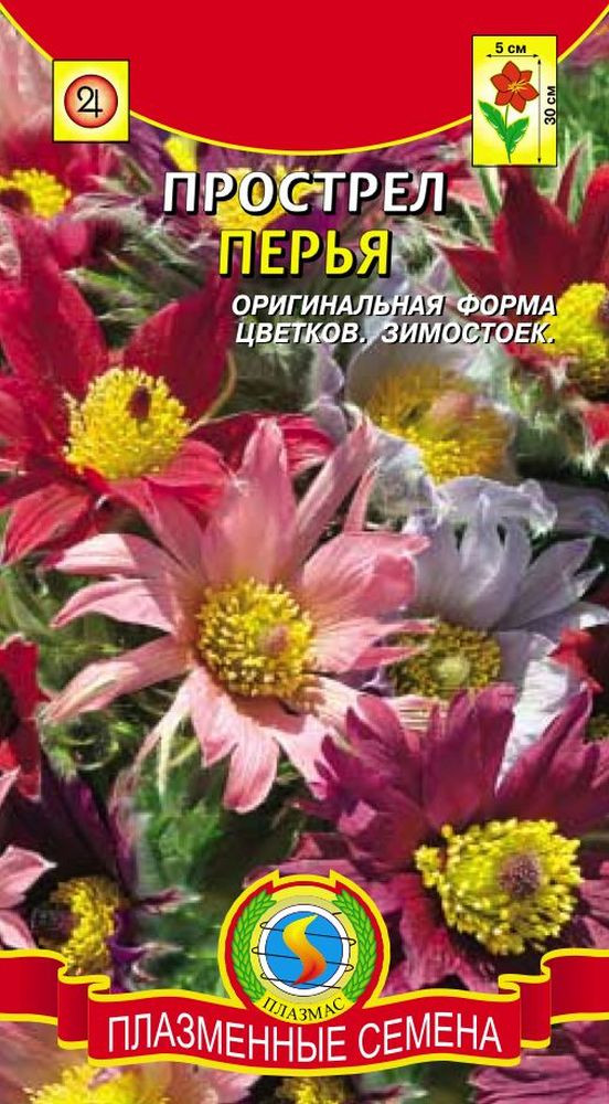 Многолетние Семена Овощей