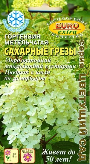 Семена Гортензии Комнатной Купить В Интернет Магазине