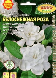 Гардения Белоснежная роза жасминовидная
