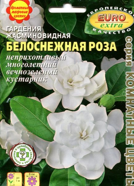 Gardenia Интернет Магазин Растений