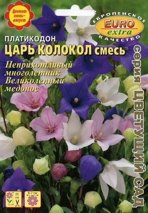 Царь колокол цветок