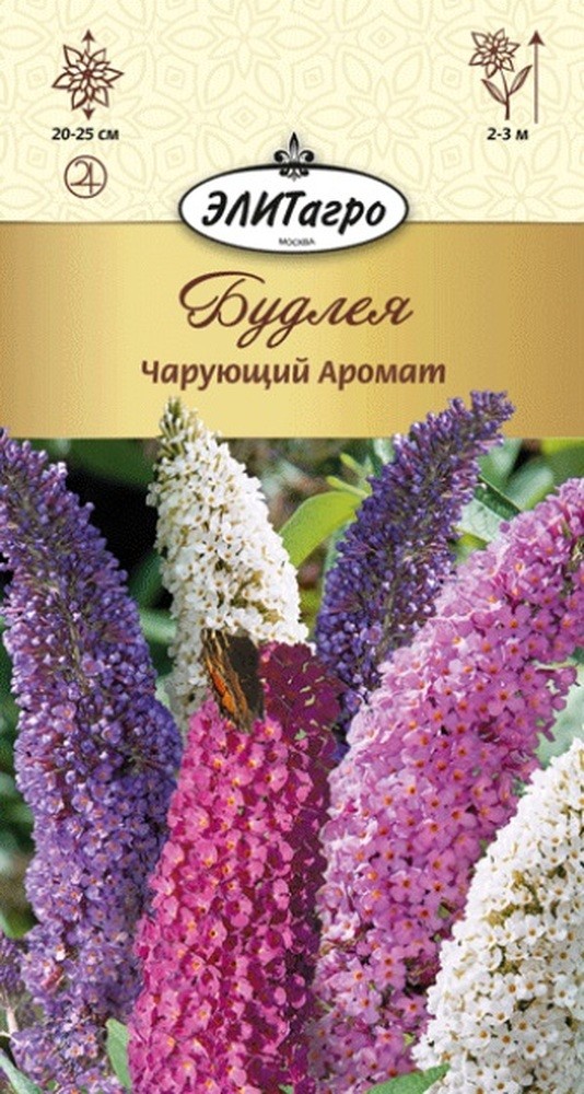 Буддлея Семена Купить