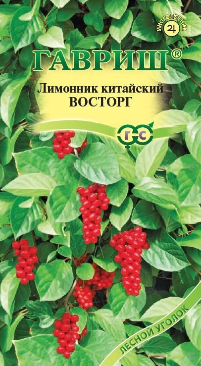 Лимонник Восторг китайский